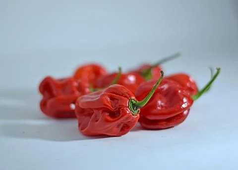Chili Foto stock