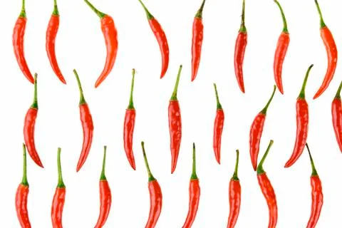 Chili 스톡 사진