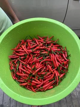 CHILI Stock Photos
