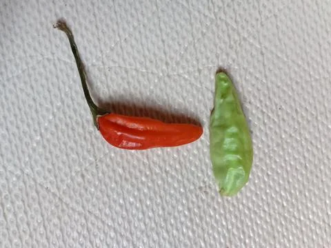 Chili Stock Photos