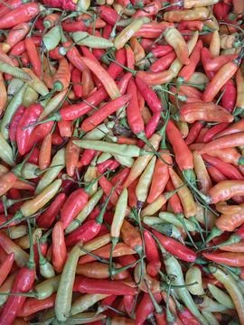 Chili Stock Photos