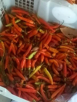 Chili Stock Photos