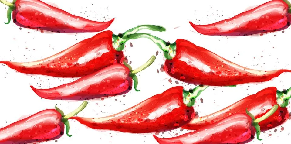 Chili Vector watercolor pattern. Menu restaurant textures on whites Stock Illustration