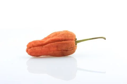 Chili on white Background 스톡 사진