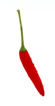 Chili on a white background Stock Photos