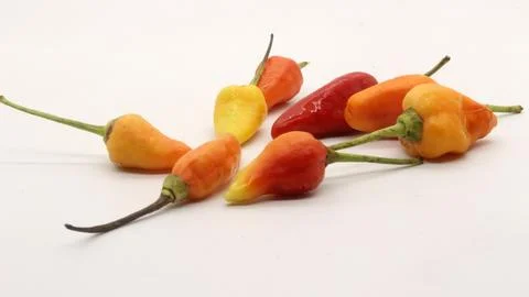 Chili on a white background Stock Photos
