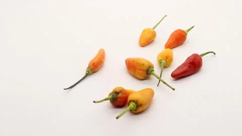 Chili on a white background Stock Photos