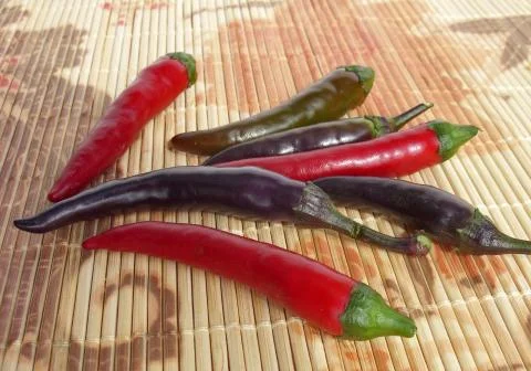 Chilies Stock Photos