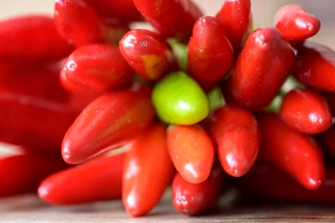 Chilies 스톡 사진