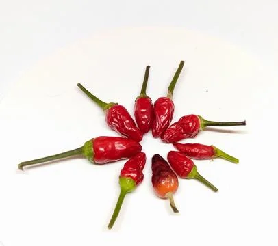 The chilies Stock Photos