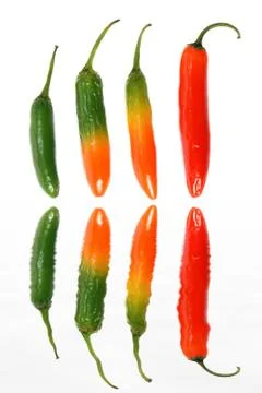 Chilis Stock Photos