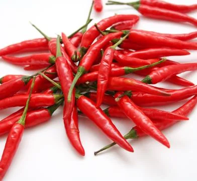 Chilischoten Foto stock