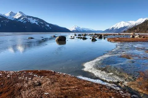 Chilkat Estuary in winter Foto stock