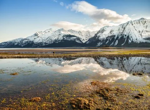 Chilkat inlet reflections Stock Photos