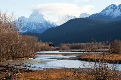 Chilkat river eagle preserve in fall Stock Photos