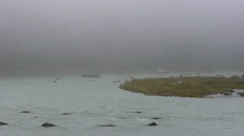 Chilkoot River Video stock 8988550