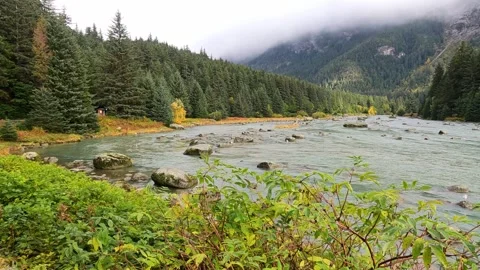 The Chilkoot River with spruce pine trees and boulders near Haines, Alaska Video stock 293133430