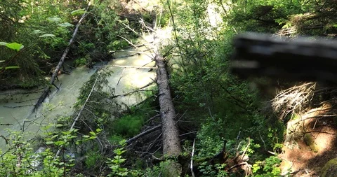 Chilkoot Trail - Alaska Stock Footage 94051321