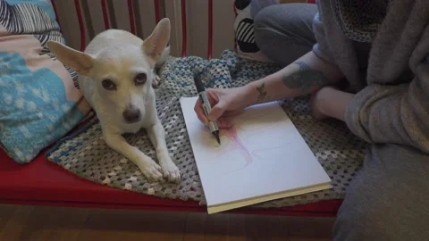 Chill out time with pet Stock Footage 152105625