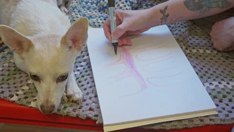 Chill out time with pet Stock Footage 152105636