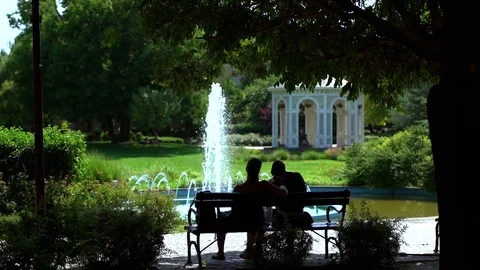 Chill in the park Stock Footage 77978579