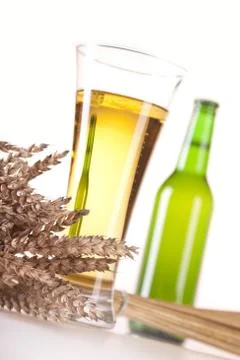Chilled beer on white background Stock Photos