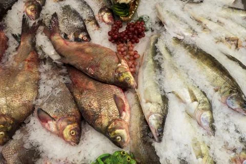 Chilled fish in stores Stock Photos