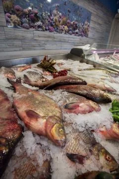 Chilled fish in stores Stock Photos