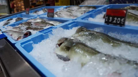 Chilled raw fish displayed on crushed ice in blue plastic containers at sup.. Stock Footage 331799544