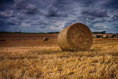 Chillenden Fields Stock Photos