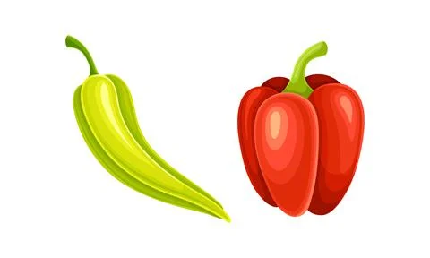 Chilli and bell pepper ripe fresh vegetables vector illustration Stock Illustration