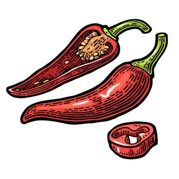 Chilli. Chilli whole, half and slice. Vector vintage engraved Stock Illustration