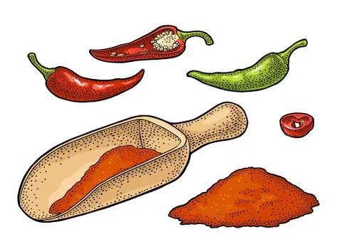 Chilli. Chilli whole, half and slice. Vector vintage engraved Stock Illustration