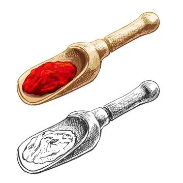 Chilli. Chilli whole, half and slice. Vector vintage hatching Stock Illustration