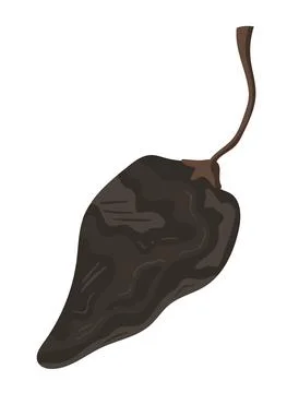 Chilli chipotle pepper Stock Illustration