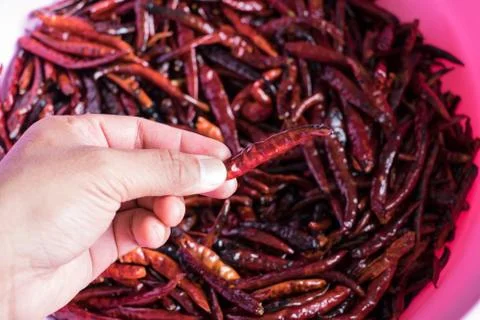 Chilli dry in hand Stock Photos