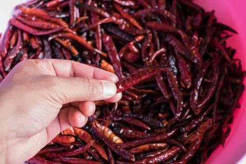 Chilli dry in hand Stock Photos