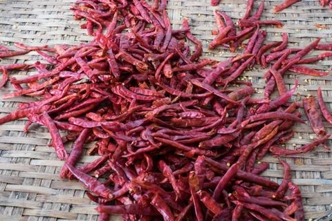 Chilli dry in the pan Stock Photos