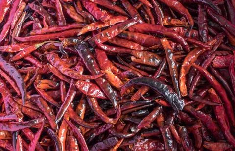 Chilli dry Stock Photos