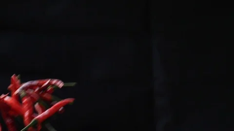 Chilli Fly - Black Backdrop | Clip 3 Video stock 92890434