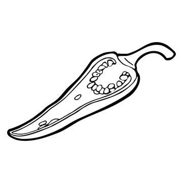Chilli half. Vector vintage engraving on white background Stock Illustration