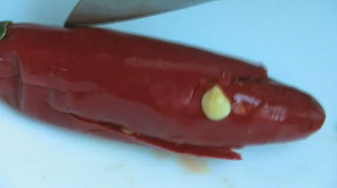 Chilli HD Stock Footage 505350