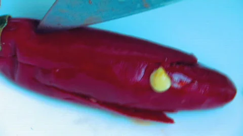 Chilli HD Stock Footage 505371