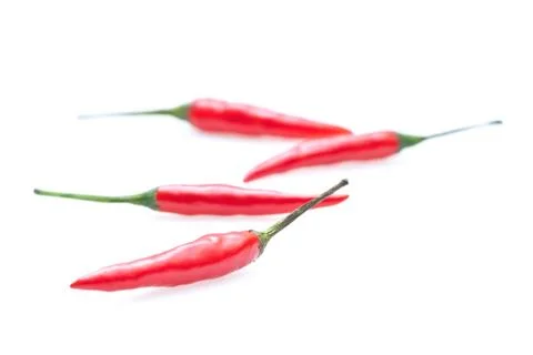 Chilli isolated on white background Stock Photos