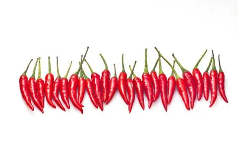 Chilli isolated on white background Stock Photos