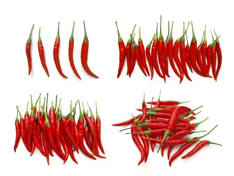 Chilli isolated on white background Stock Photos