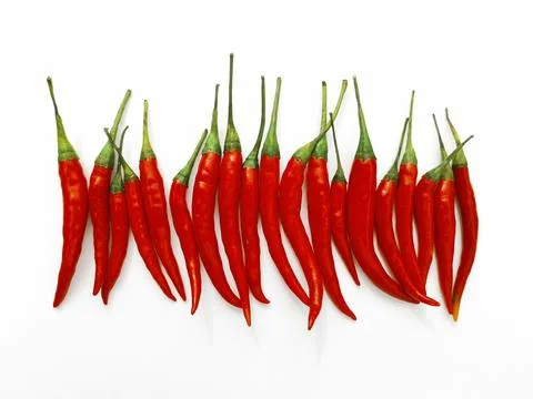 Chilli isolated on white background Stock Photos