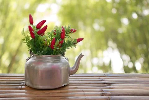 The chilli in the old kettle which are placed on bamboo floor Stock Photos