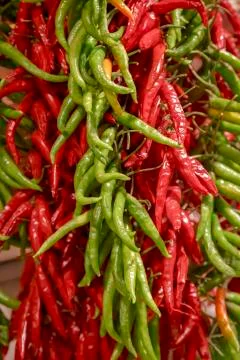 Chilli pepers 库存照片