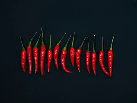 Chilli pepper on the black background. empty space for your text. blank for d Stock Photos